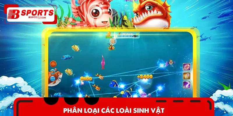 Phân loại các loài sinh vật