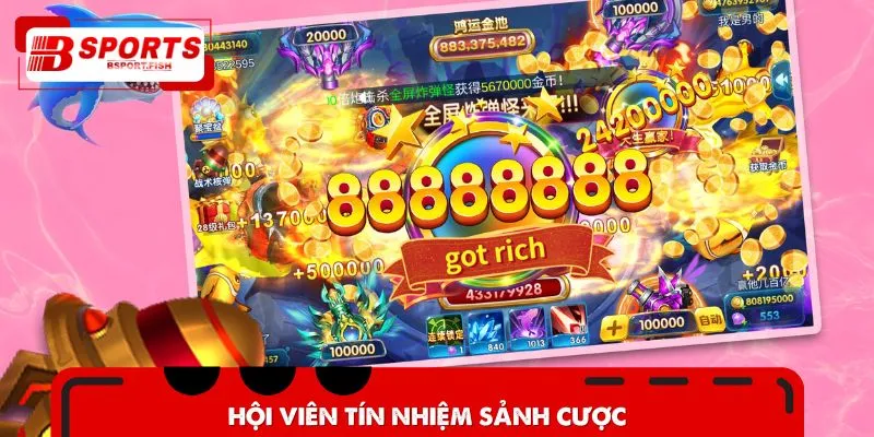 Hội viên tín nhiệm sảnh cược