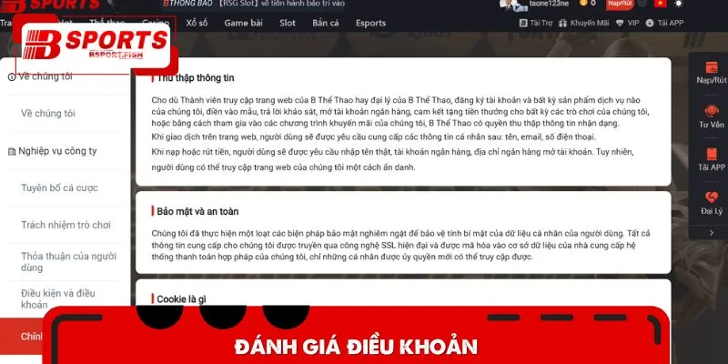 Đánh giá điều khoản
