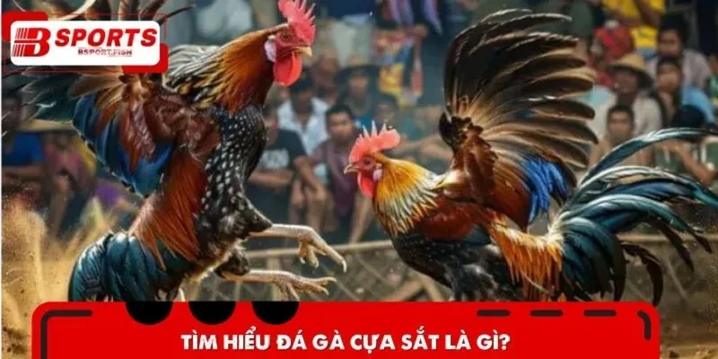Tìm hiểu đá gà cựa sắt là gì