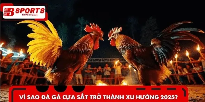 Đá gà cựa sắt là xu hướng cá cược Hot nhất 2025
