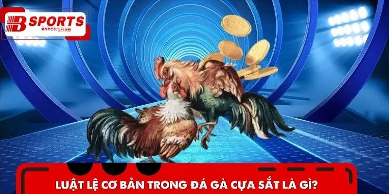 Luật lệ trong đá gà cựa sắt được quy định rõ