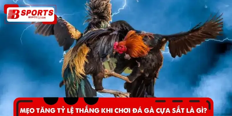 Bí kíp thắng cược dễ như trở bàn tay