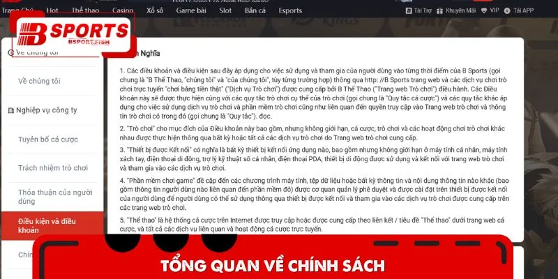 Tổng quan về chính sách