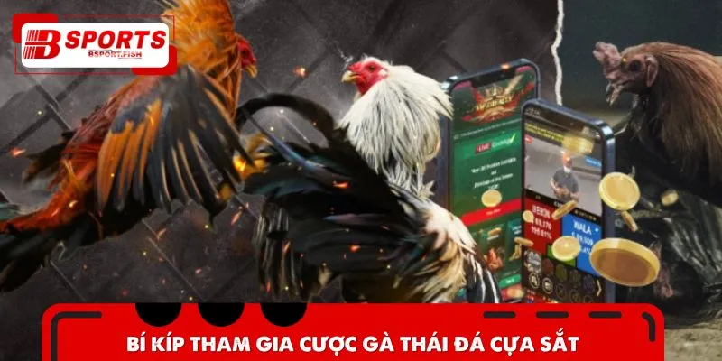 Bí kíp tham gia cá cược gà Thái đá cựa sắt