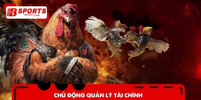 Chủ động quản lý tài chính