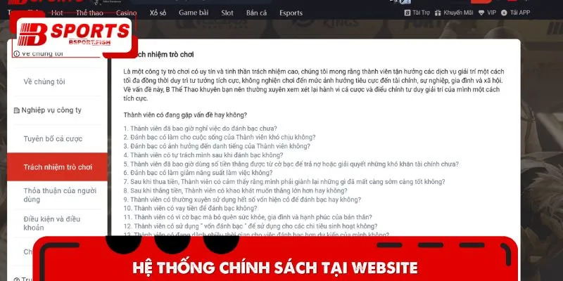 Hệ thống chính sách tại website