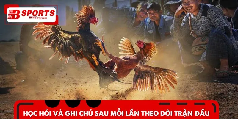 Rút kinh nghiệm sau mỗi lần cược đá gà cựa dao